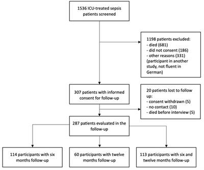 Frontiers | Sepsis Survivors And Caregivers Perspectives On Post–acute ...